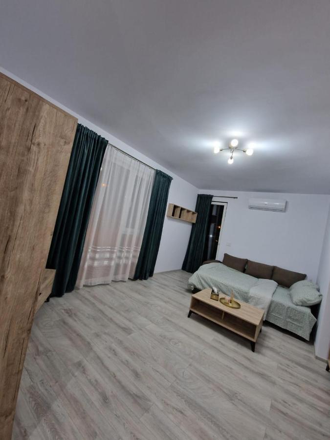 Apartament Modern Cu O Camera Lägenhet Timişoara Exteriör bild